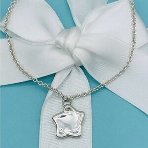 Rare Tiffany & Co. Elsa Peretti Sterling Silver Star Retired Necklace Pendant